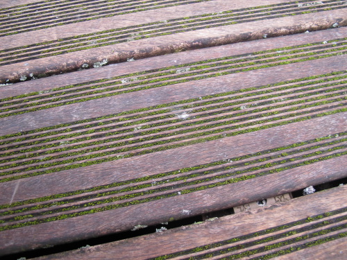 Terrasse en Bois antidrapantes prise dans la mousse