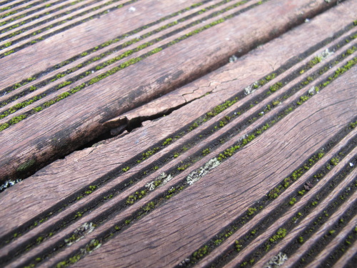 Terrasse en Bois avec salets incrutes dans les rainues