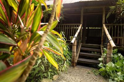 Terrasse en bois exotique sur sol dur 