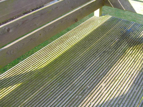 Terrasse avec lames de bois rainures avec de la mousse